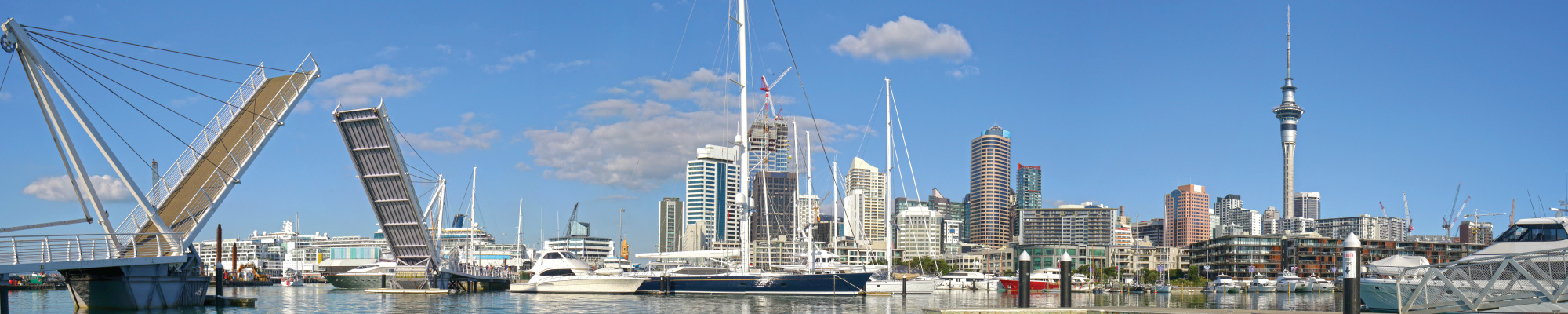 Auckland Banner Image